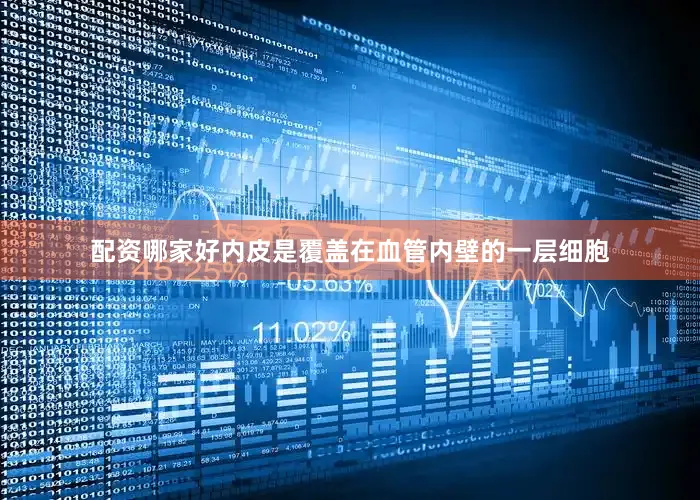 配资哪家好内皮是覆盖在血管内壁的一层细胞